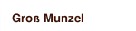 Groß Munzel